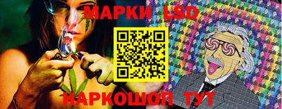 шишки Новоалтайск