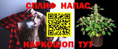 гидра Донской