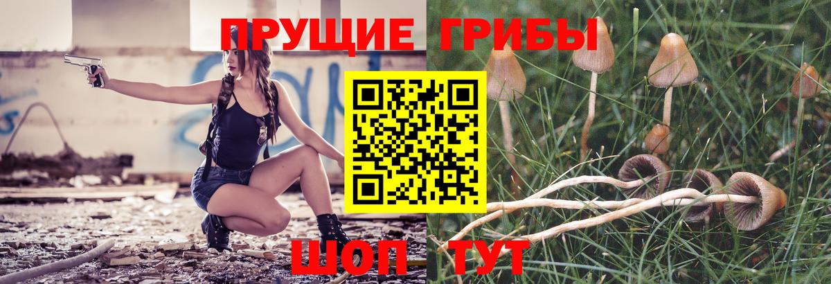 Нижний Новгород  Галлюциногенные грибы GOLDEN TEACHER  Вход с VPN  Псилоцибиновые грибы Psilocybine cubensis 